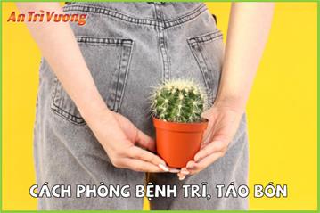 Làm thế nào để phòng ngừa bệnh trĩ, táo bón, đặc biệt với các nhóm đối tượng có nguy cơ cao